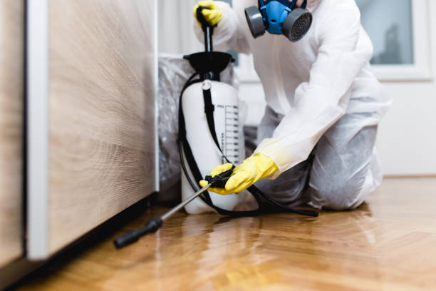 Flea Control Services in Milliken, CO