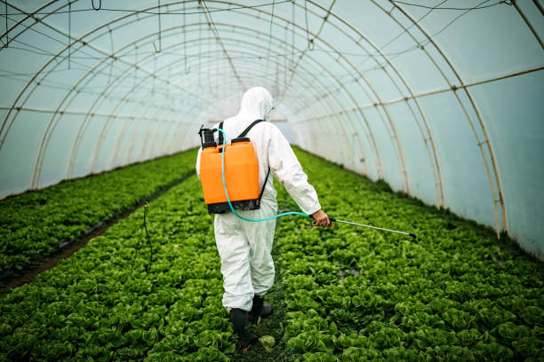 Best Pest Inspection Near Me  in Milliken, CO
