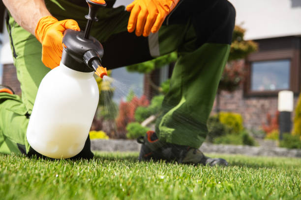Best Residential Pest Control  in Milliken, CO