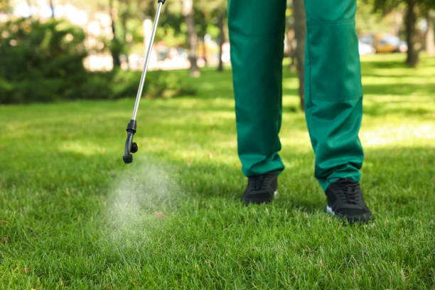 Best Best Pest Control Near Me  in Milliken, CO