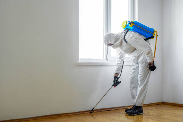 Best Pest Control for Homes  in Milliken, CO