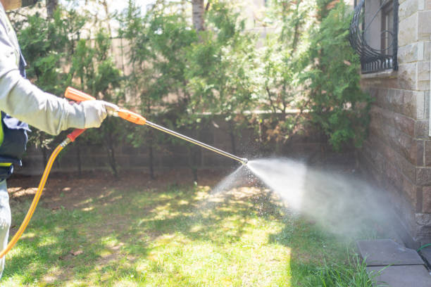 Best Pest Control Treatment  in Milliken, CO