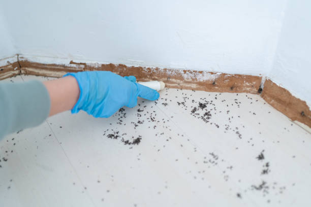 Pest Control for Restaurants in Milliken, CO